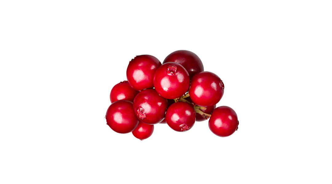 Lingonberries