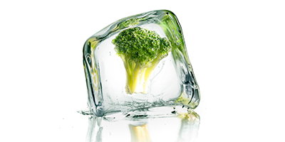 Frozen Broccoli Ice Cube